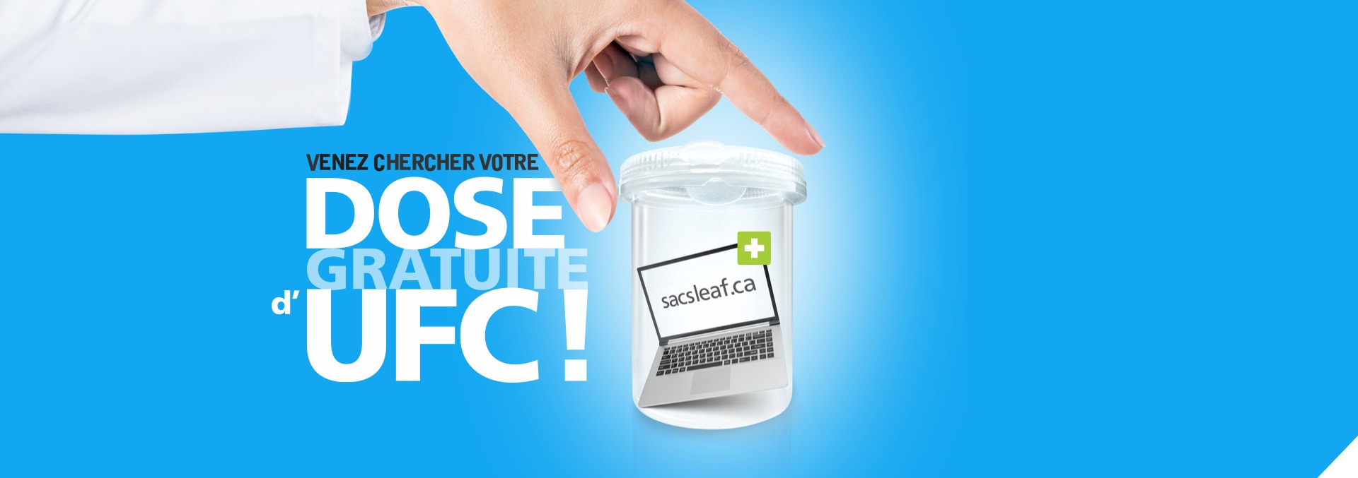 Ce online practice live and ce seminars sacs leaf